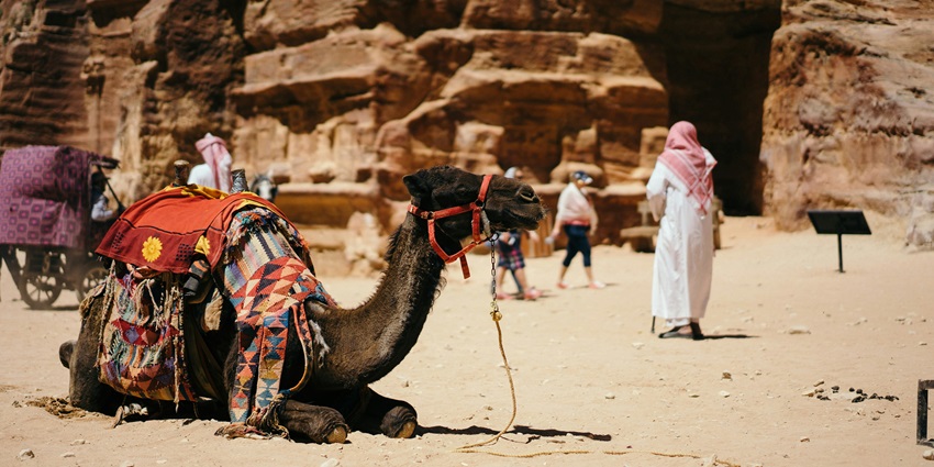 Al Marmoom Heritage Festival is a cultural camel racing festival celebrating Emirati traditions.