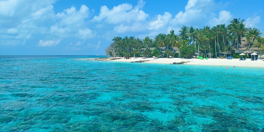 Scenic view of the Ant Atoll with the sandy shores lined with tall palm trees.