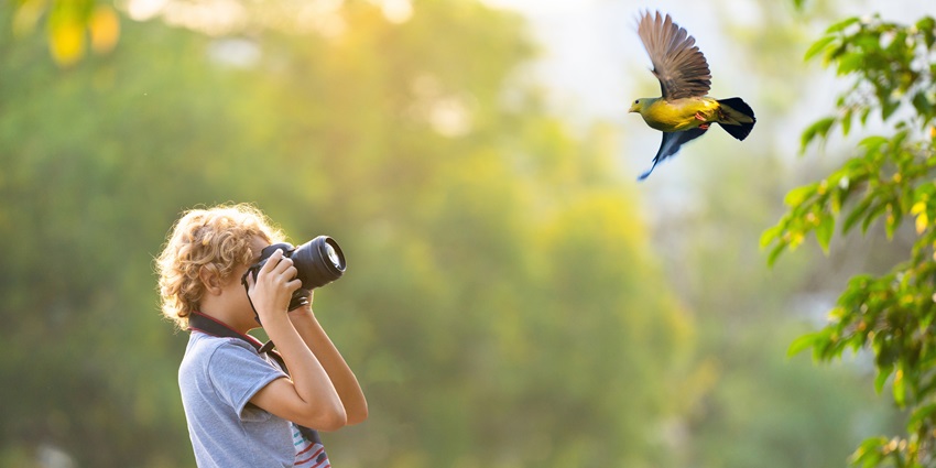 A picture of a scenic landscape with people enjoying bird watching from the lush forest