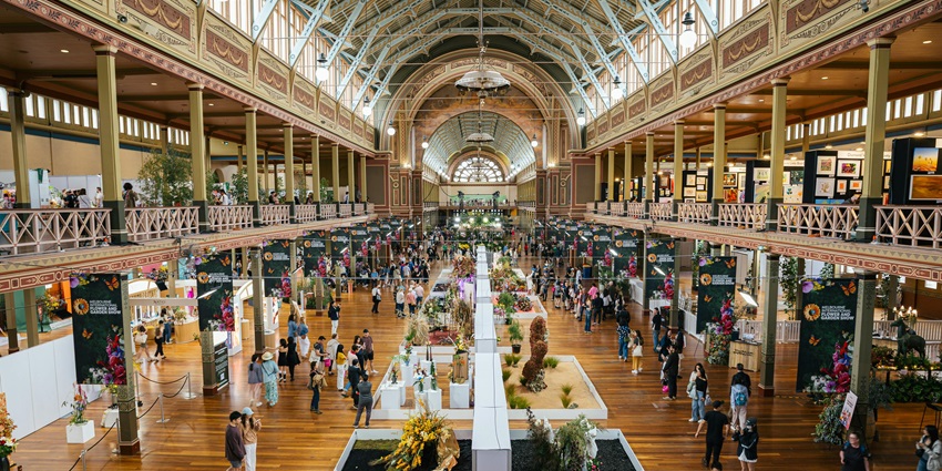 Discover contemporary art here, one of the most exciting things to do in Newtown