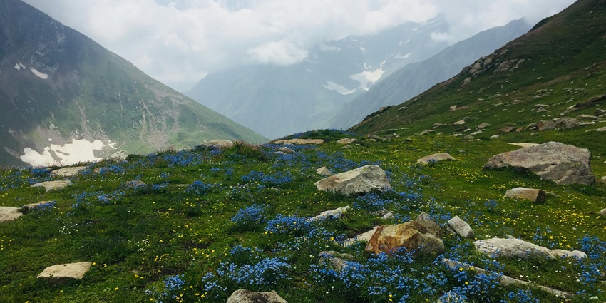 Image of Panorama of Alpine Valley in Summer in Jammu and Kashmir