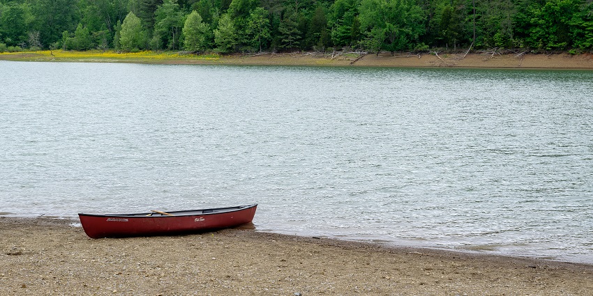 Canoe through Little Amazon for a peaceful ride among banyan roots and rich biodiversity