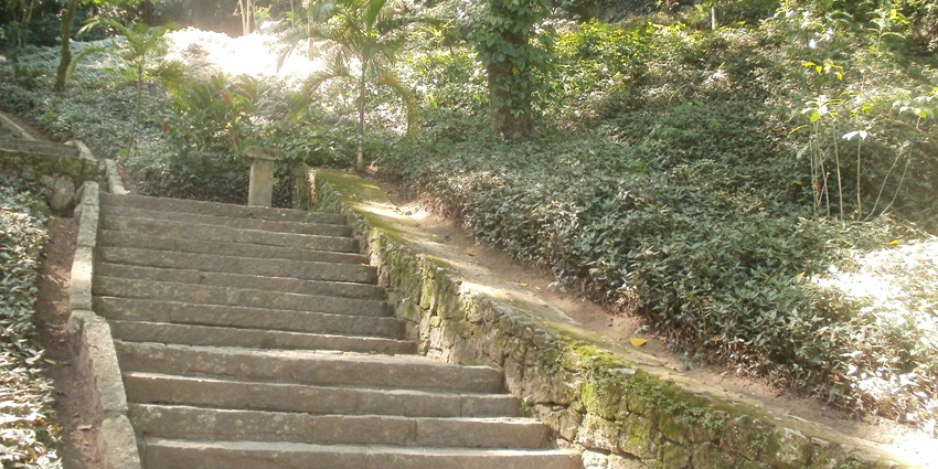 Catacumba Park is one of the most refreshing places to visit near Ipanema Beach.