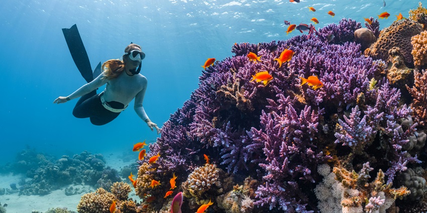 View of a diver underwater witnessing the vibrant coral reefs of Tuvalu island.