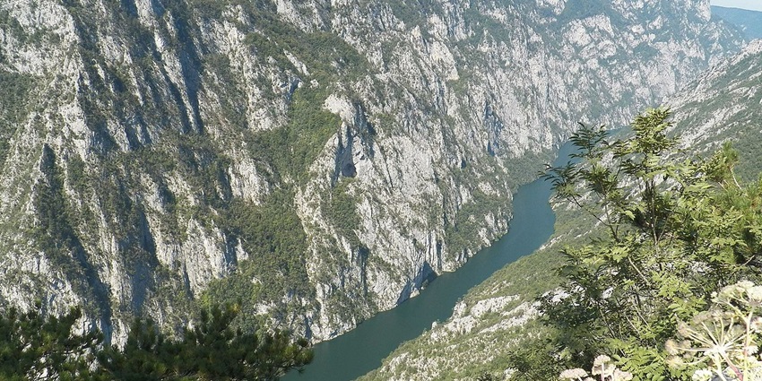 Scenic Drina River canyon with calm waters and forested mountain slopes.