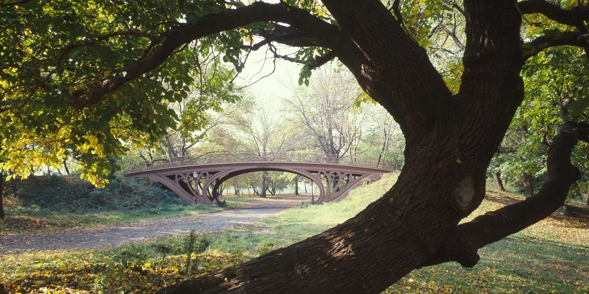 Peaceful view of Central Park, a must-see highlight among things to do in Manhattan