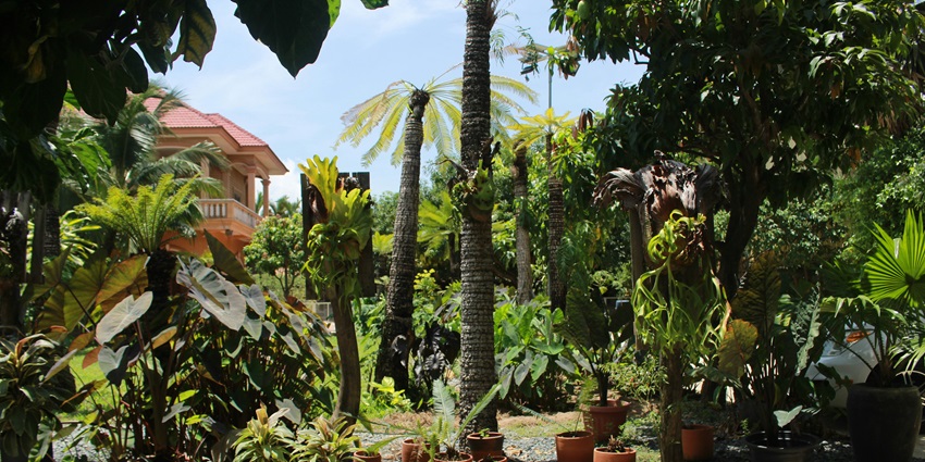 An image of the Ene'io Botanical Garden, one of the best things to do in Tongatapu Island
