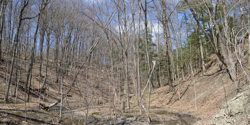 Exploring the Riverwood Conservancy is one of the best things to do in Mississauga.
