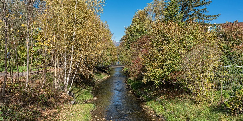 Scenic image of the waterbody flowing in a streamline along the path full of lush dense trees