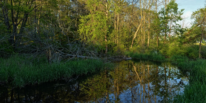 Explore Rattray Marsh Conservation Area, among the popular things to do in Mississauga.
