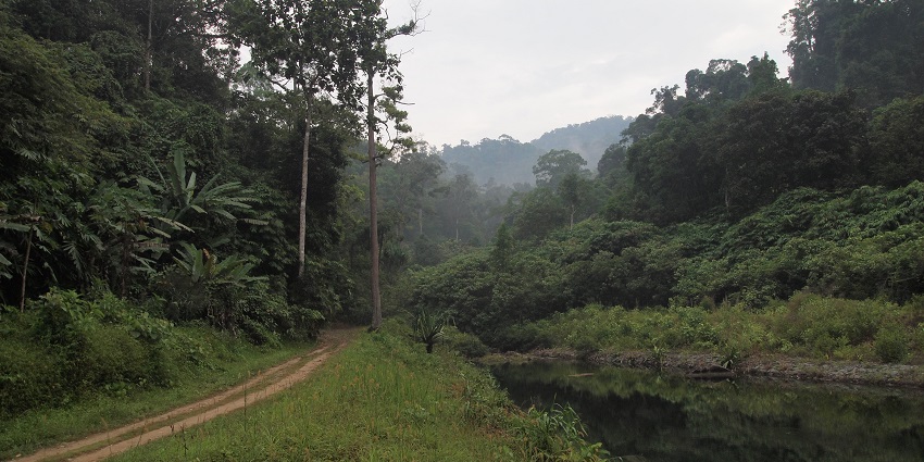 Hike in Khao Lak-Lam Ru National Park, a perfect blend of ocean views and lush forest trails