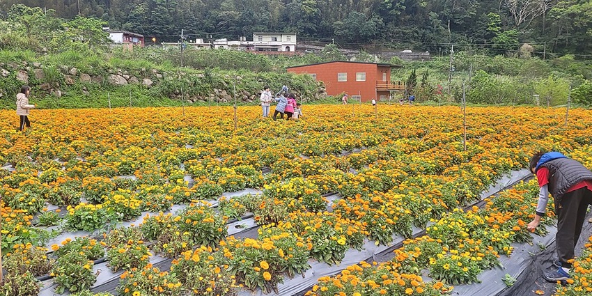 Hsinchu County is one of the most vibrant places you can explore on your next trip.