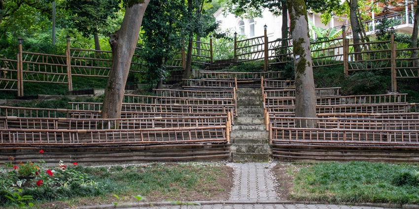 Peaceful garden with diverse plant species, perfect for walks and nature photography.