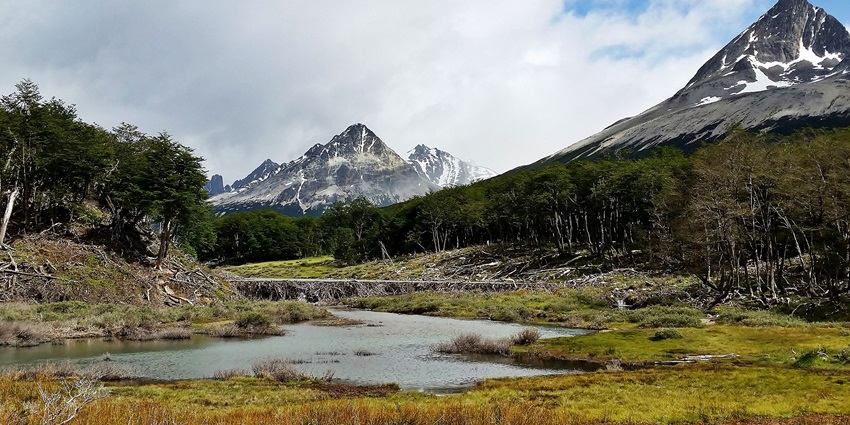 Breathtaking view of Laguna Esmeralda’s turquoise waters surrounded by mountains and forest in Tierra del Fuego, Argentina.
