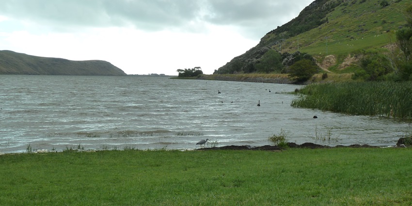 A breathtaking view of Lake Forsyth featuring shimmering waters and greenery.