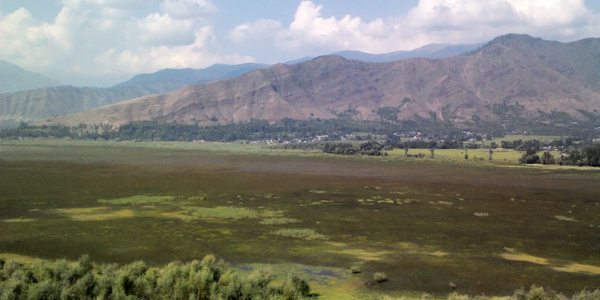 Wular lake from above with still and greenish water body surrounded by green shorelines