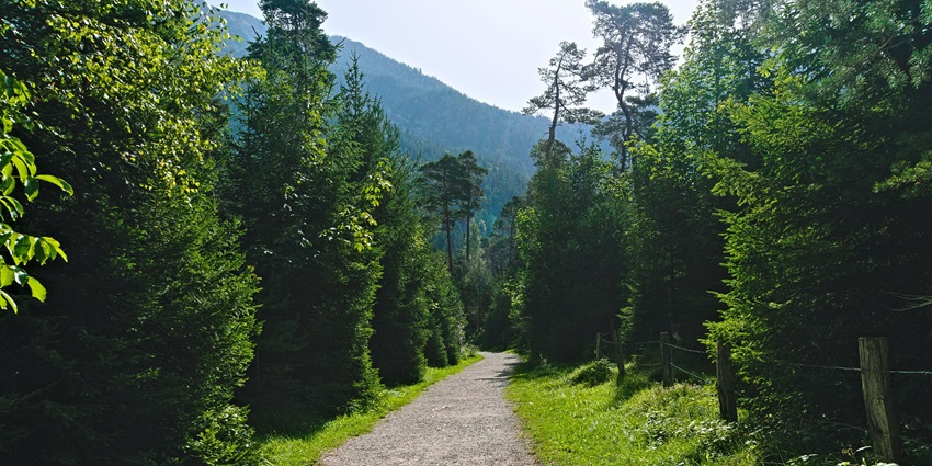 Maastricht Border Region is one of the peaceful spots with a countryside ambience.