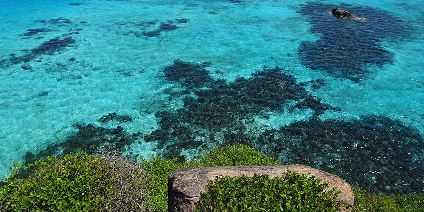 Corales at Providence McBean Lagoon- one of the top places to visit in Isla de Providencia