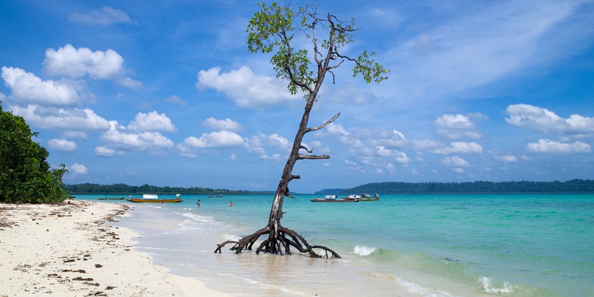 A solitary tree stands on the emerald tropical beach of an Island similar to Piti Aau