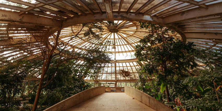 A vibrant scene inside the Phuket Botanic Garden, featuring lush greenery, tropical plants, and landscaped paths.
