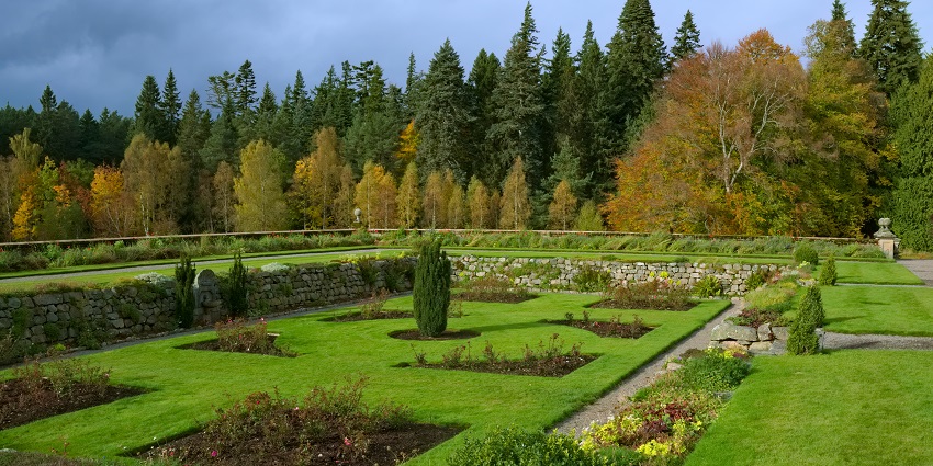 Lush green garden offering a peaceful and refreshing natural escape under the clear sky