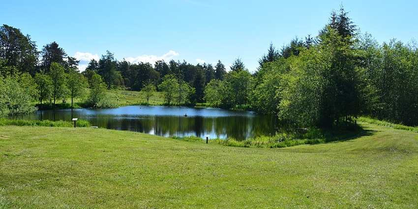 A picture of a lush green park with a pond in the centre, surrounded by trees