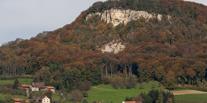 Sissacherfluh Castle ruins perched on a forested hill, surrounded by dense green trees