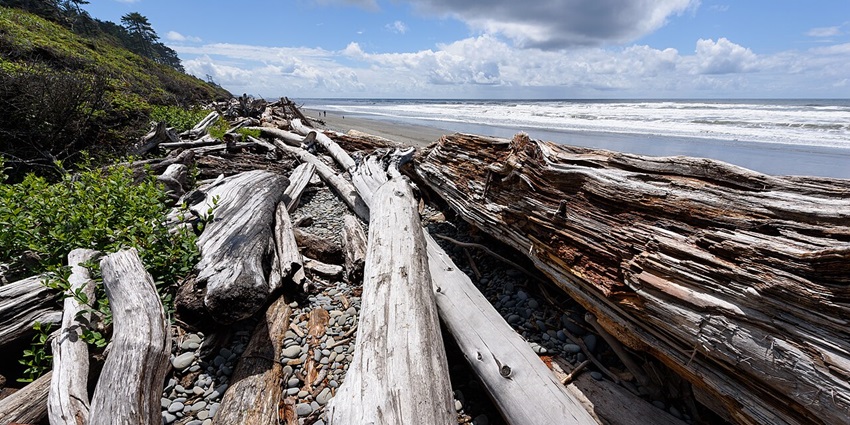 A picture of the South Beach, which is one of the best places to visit in San Juan Islands Washington