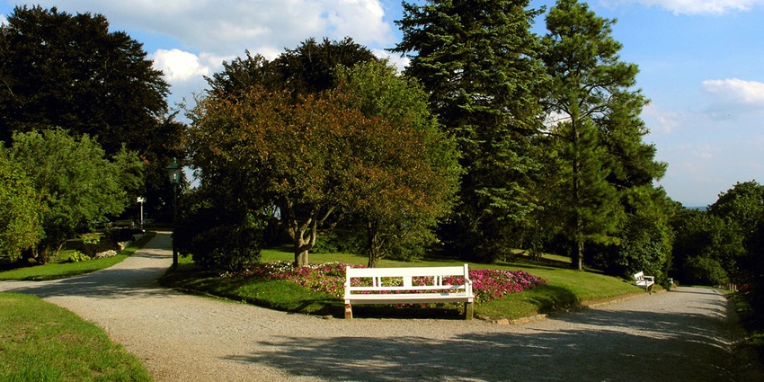 Serene fields inside the Rapoldipark with pathways and benches aligning.