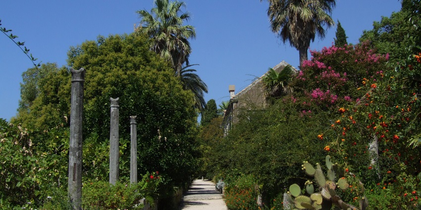 The lush Trsteno Arboretum is one of the best tourist places in Dubrovnik, Croatia, for nature lovers
