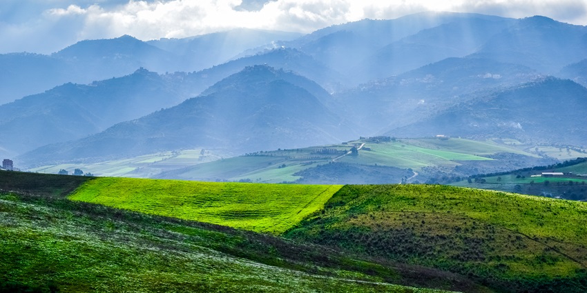 Beautiful image of the green lush landscape of Kabylie in Algeria