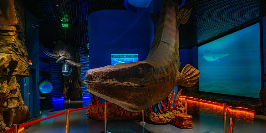 Snapshot from the inside of the iconic museum in friday harbor–things to do in san juan islands washington