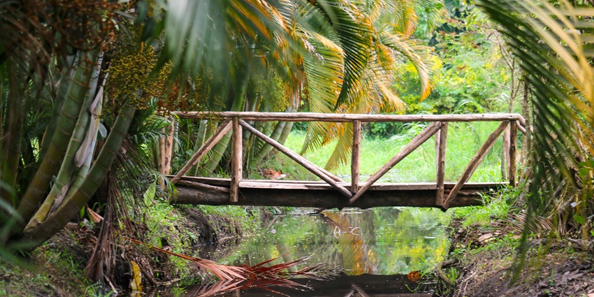 Walking on the Natural Land Bridge, one of the best things to do in Tongatapu Island
