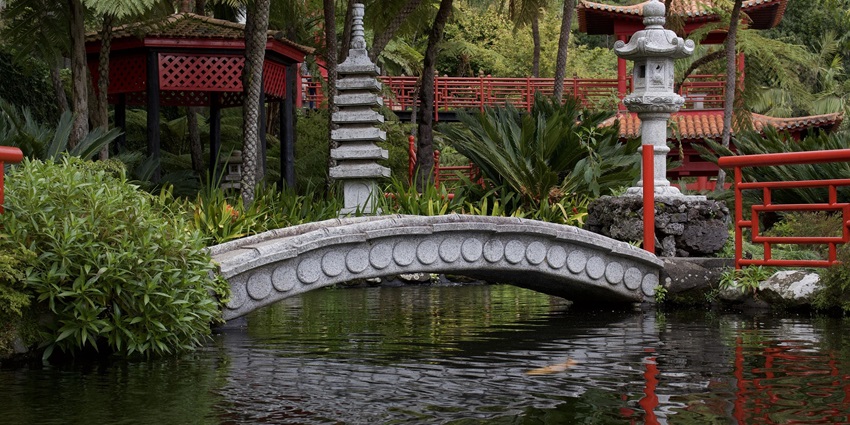 Image of a Japanese park with a small lake beautiful flowers and lush greenery surrounded