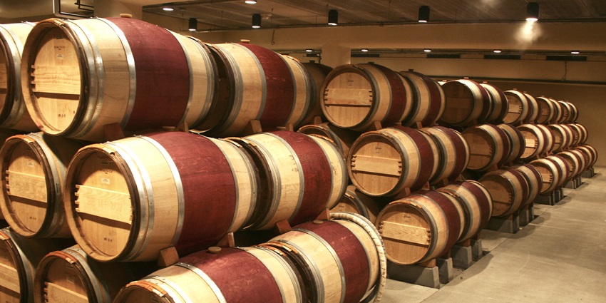 A wine distillery in Patagonia with numerous barrels placed in the storeroom for display