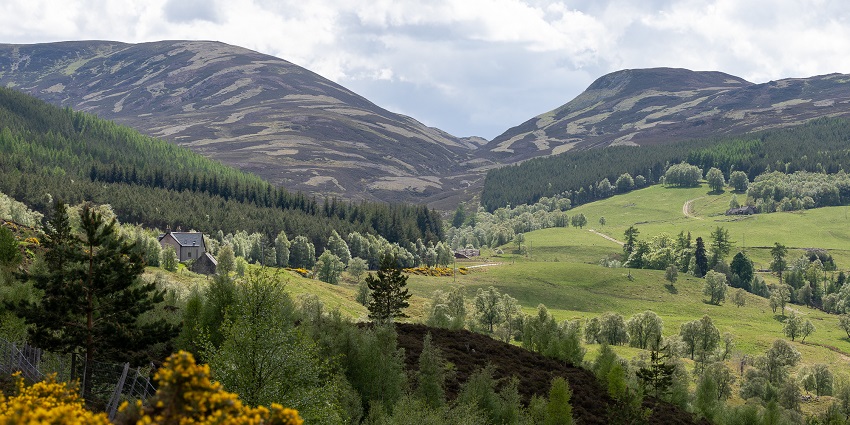 Visit the Cairngorms National Park with your loved ones, among things to do in Speyside.
