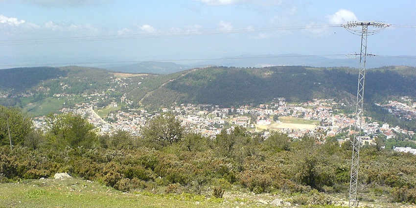 An image of Ain Draham Reserve, a forested Zoos In Tunisia with hilly trails and native species.