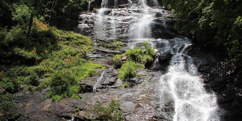 Amicalola Falls flowing through the rocky surface of the cliff surrounded by greenery