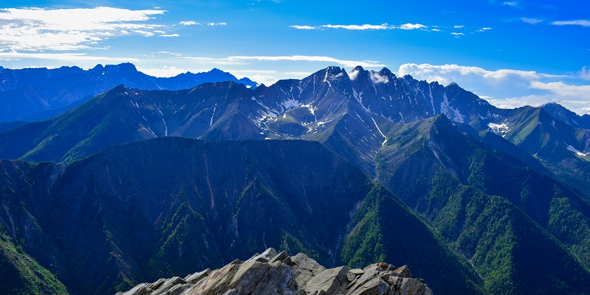 A beautiful view of a field of blooming flowers with mountains in the background in Arshan