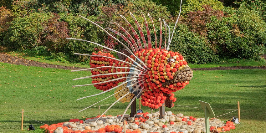 Visit the famous Pumpkin festival, among popular things to do in Rome in October.