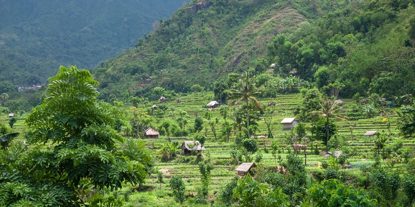 Bali beckons with tropical beaches, lush rice terraces and vibrant island culture