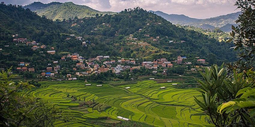 A top view of terrace farming in Balthali Village shows its natural beauty, surrounded by green hills.