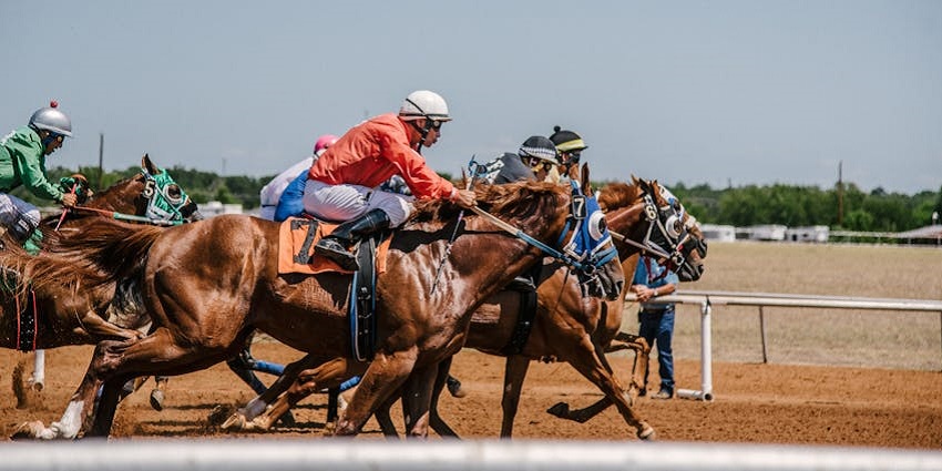 Men enjoying the horse riding race at a casino, an interesting thing to do in Ajax, Canada