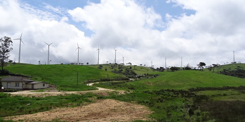 The best time to visit Ambewela Farm is between December and April every year.