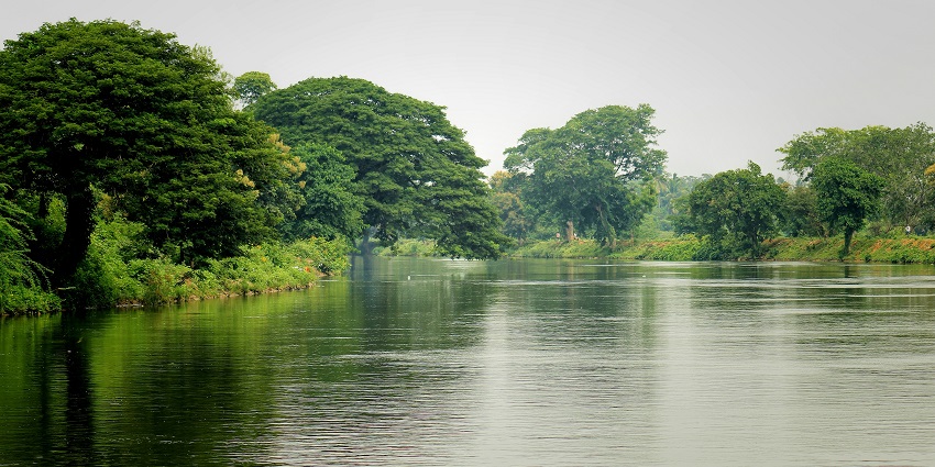 Peaceful view of Negombo Lagoon with calm waters, lush greenery