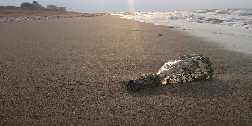 Image of a barnacle-covered glass bottle lies on wet sand beside ocean waves