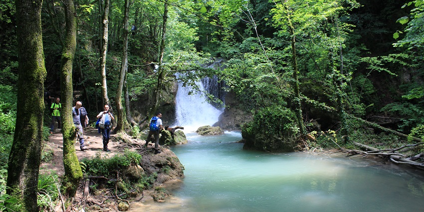 Clearwater is rushing through Beușnița Valley while greenery is thriving on the banks.