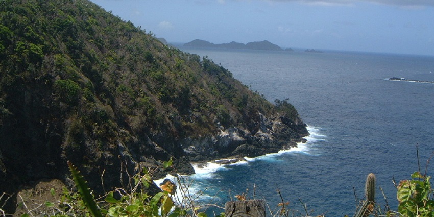 Things to do in Tobago include spotting seabirds and species in their natural habitat.
