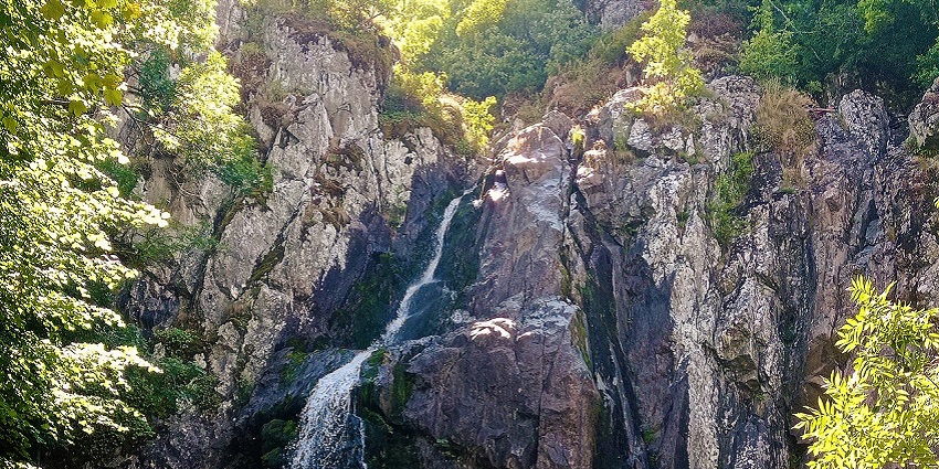 Close-up view of Boyana Waterfall cascading over rocks surrounded by lush green forest