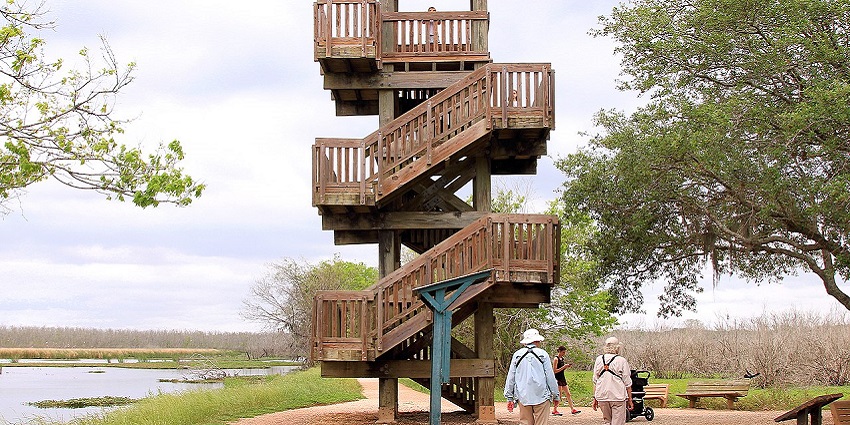 Scenic trails and lakes at Brazos Bend State Park, a among the places to visit near Houston.